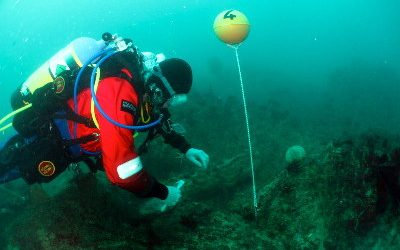 New Survey Reveals Huge Contribution Made By Volunteer Divers