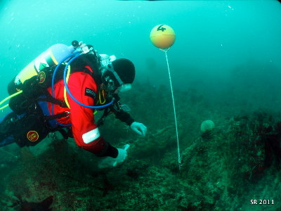 New Survey Reveals Huge Contribution Made By Volunteer Divers